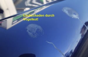 Nahaufnahme von Lackschäden durch Vogelkot auf einer Motorhaube als Beispiel für Schadensdokumentation